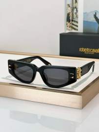 Picture of Roberto Cavalli Sunglasses _SKUfw69699340fw